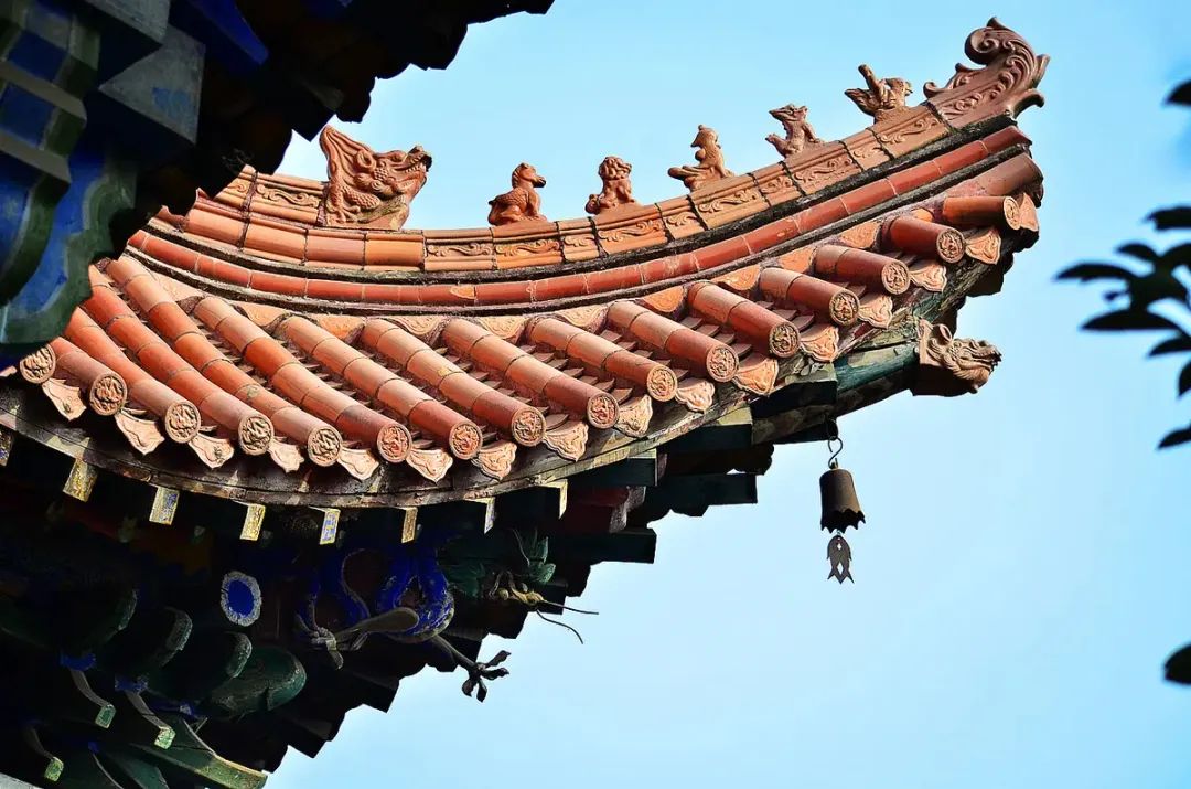 1666234782599992.jpg 9.jpg